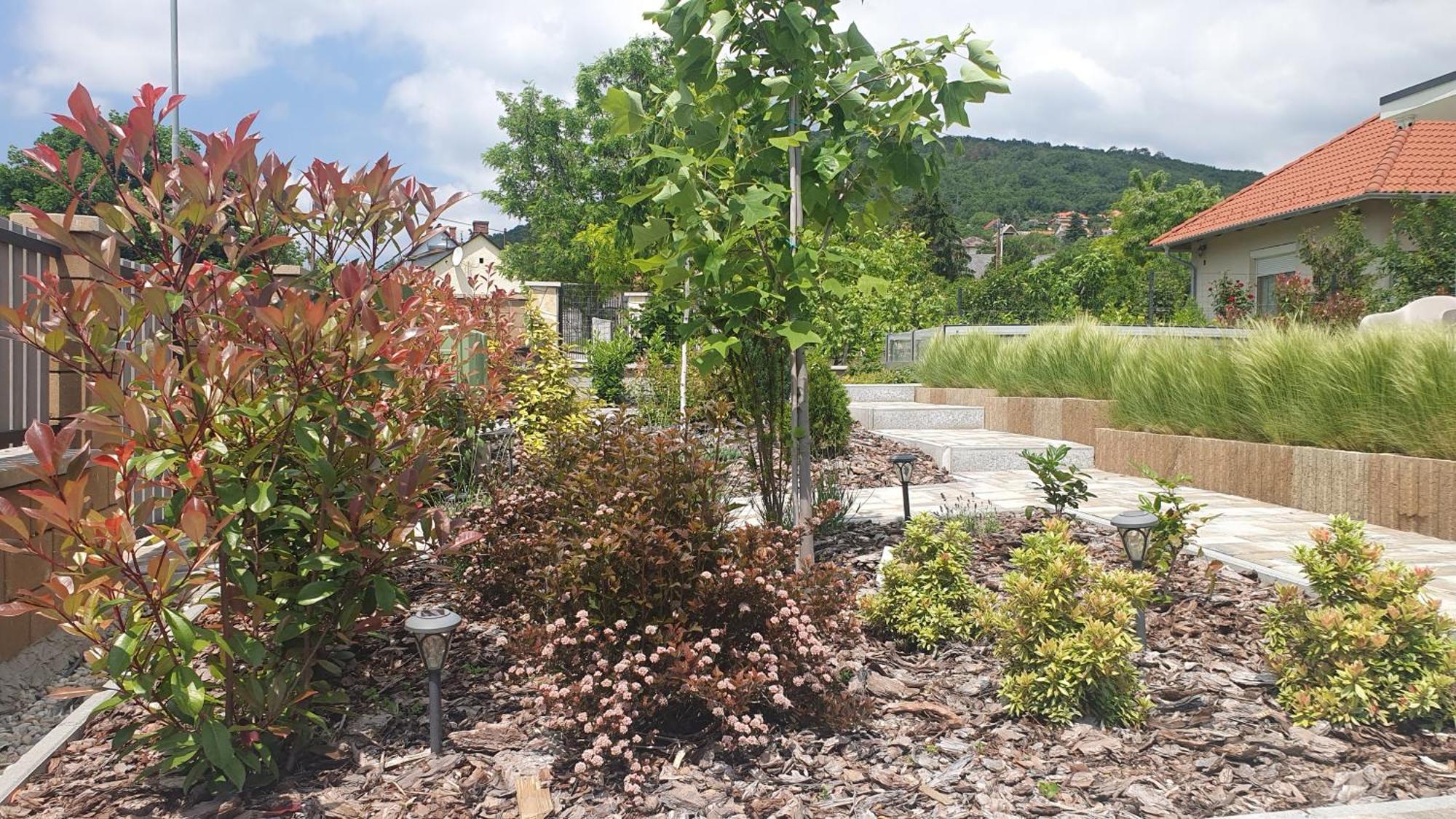 Relax Balaton Apartmanok 巴拉顿菲赖德 外观 照片