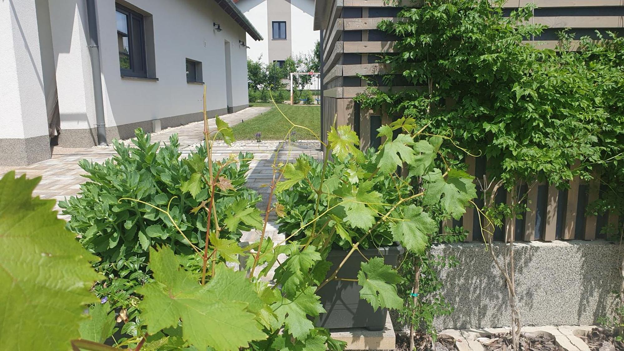 Relax Balaton Apartmanok 巴拉顿菲赖德 外观 照片